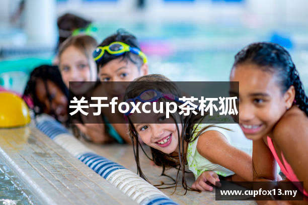 关于foxcup茶杯狐